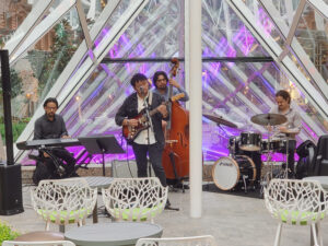 Musik im Central Park