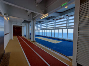 Shuffleboard