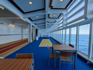 Shuffleboard