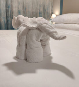 Handtuch Elefant
