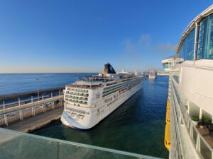Norwegian Gem