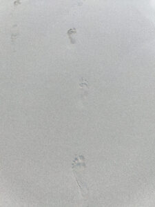 meine Spuren im Sand