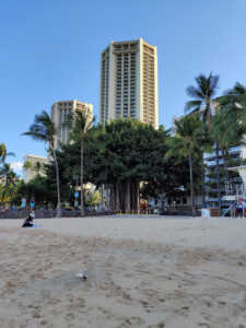 Waikiki Beach am Morgen