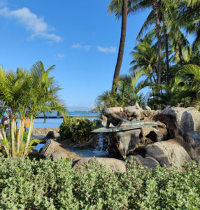 Makua and Kila