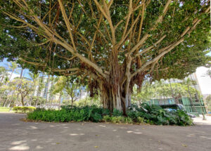 Fort Derussy Beach Park