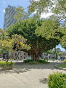 Fort Derussy Beach Park