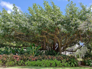 Fort Derussy Beach Park