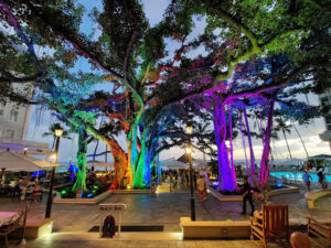 Abendstimmung in Waikiki