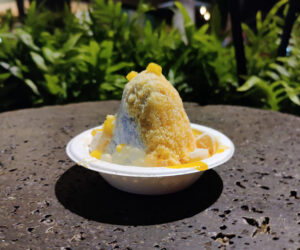 Coconut Island Shave Ice