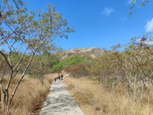 Diamond Head State Monument