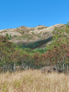 Diamond Head State Monument