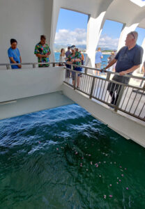 U.S.S. Arizona Memorial