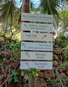 Maui Tropical Plantation