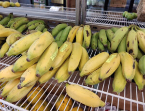 Apple Bananas