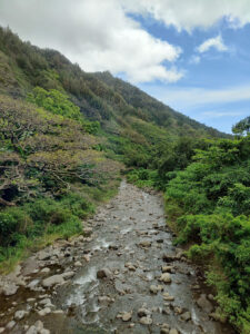 Iao Valley State Monument