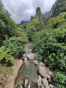 Iao Needle
