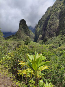 Iao Needle