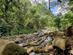 Iao Valley State Monument