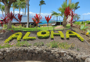 Maui Ocean Center