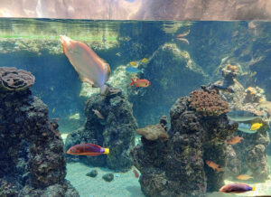 Maui Ocean Center