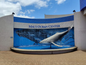Maui Ocean Center