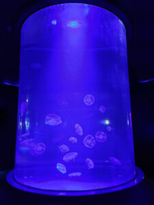 Maui Ocean Center
