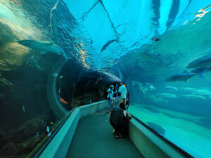 Maui Ocean Center