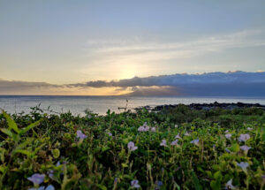Sonnenuntergang