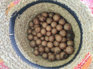 Macadamias