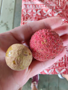 Langon und Lychee