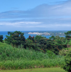 Blick auf Hilo und die Pride of America