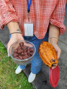 Schokolade aus dem Farmkakao