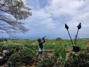 Kona Joe Coffee