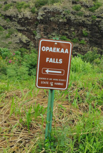Opaekaa Falls
