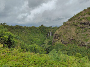 Opaekaa Falls