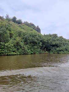 Wailua River