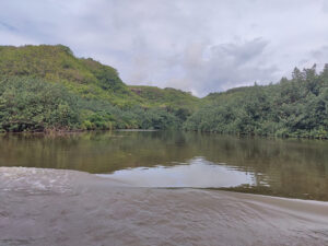 Wailua River