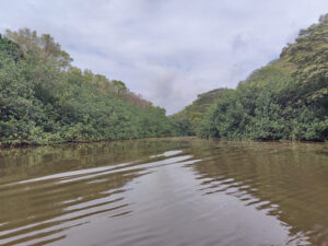 Wailua River