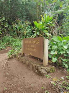 Fern Grotto