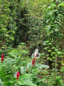 kleiner Wasserfall