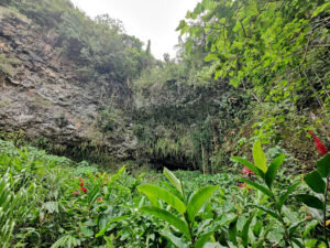 Fern Grotto