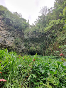 Fern Grotto