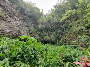 Fern Grotto