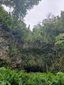 Fern Grotto