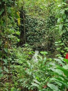 kleiner Wasserfall