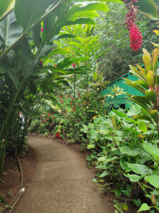 Weg zur Fern Grotto