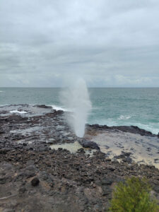 Spouting Horn Park