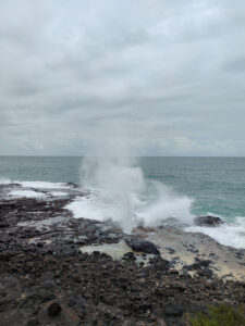 Spouting Horn Park