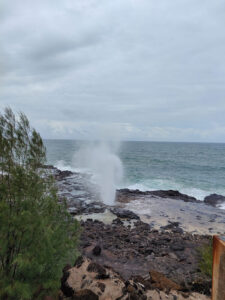 Spouting Horn Park