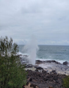 Spouting Horn Park